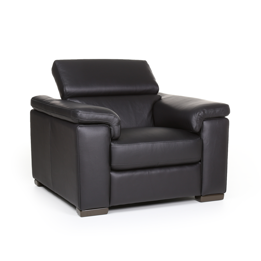 Fauteuil Zwart